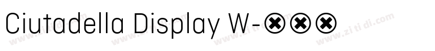 Ciutadella Display W字体转换